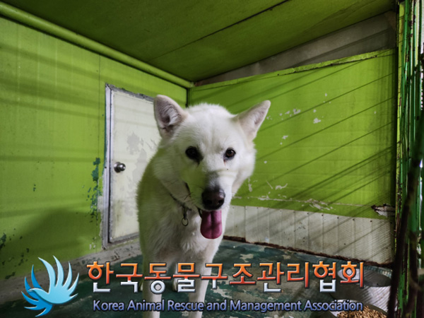 한국동물구조관리협회_441409202500098